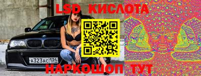 амф Можга