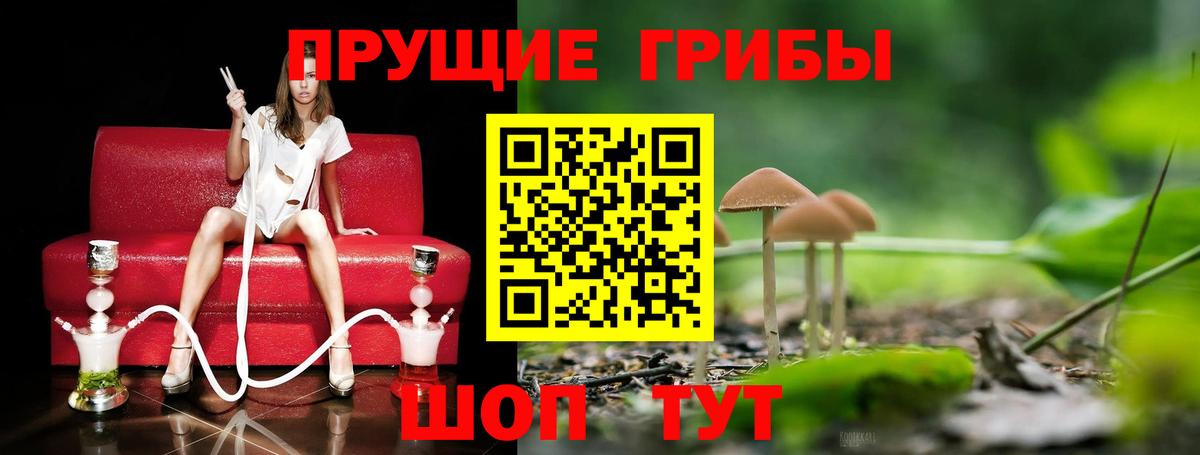 Чебоксары  Псилоцибиновые грибы мухоморы  Вход с VPN  Галлюциногенные грибы Cubensis 